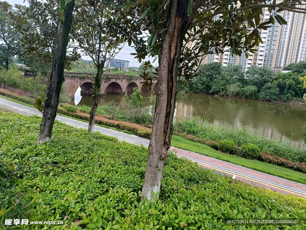 河畔绿树成荫的宁静步道