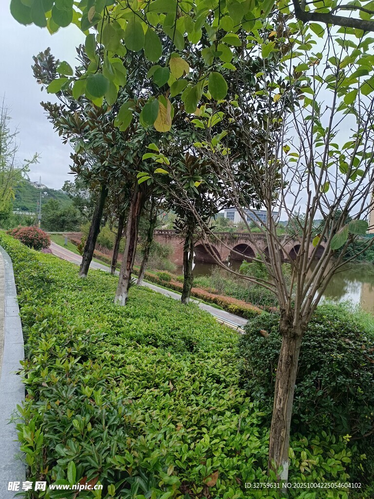 公园绿植景观