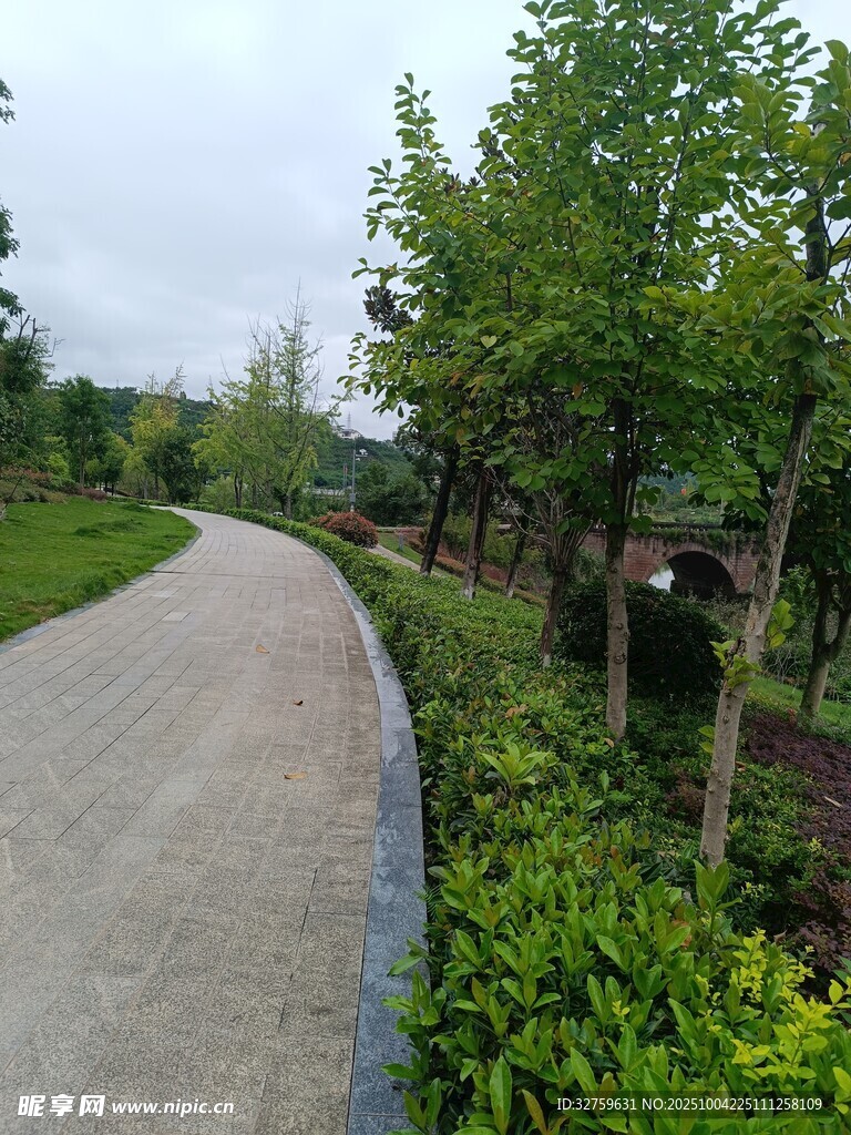 蜿蜒小径旁绿意盎然