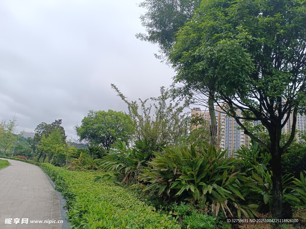 蜿蜒小路旁的绿植景观