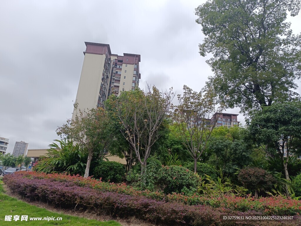 小区绿植环绕的高楼景观