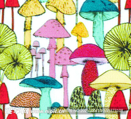 多彩蘑菇手绘插画