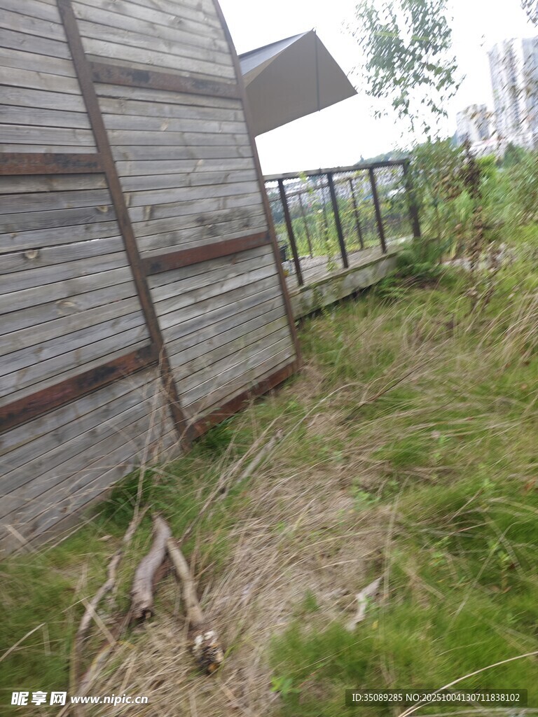 木质小屋旁的户外自然景致