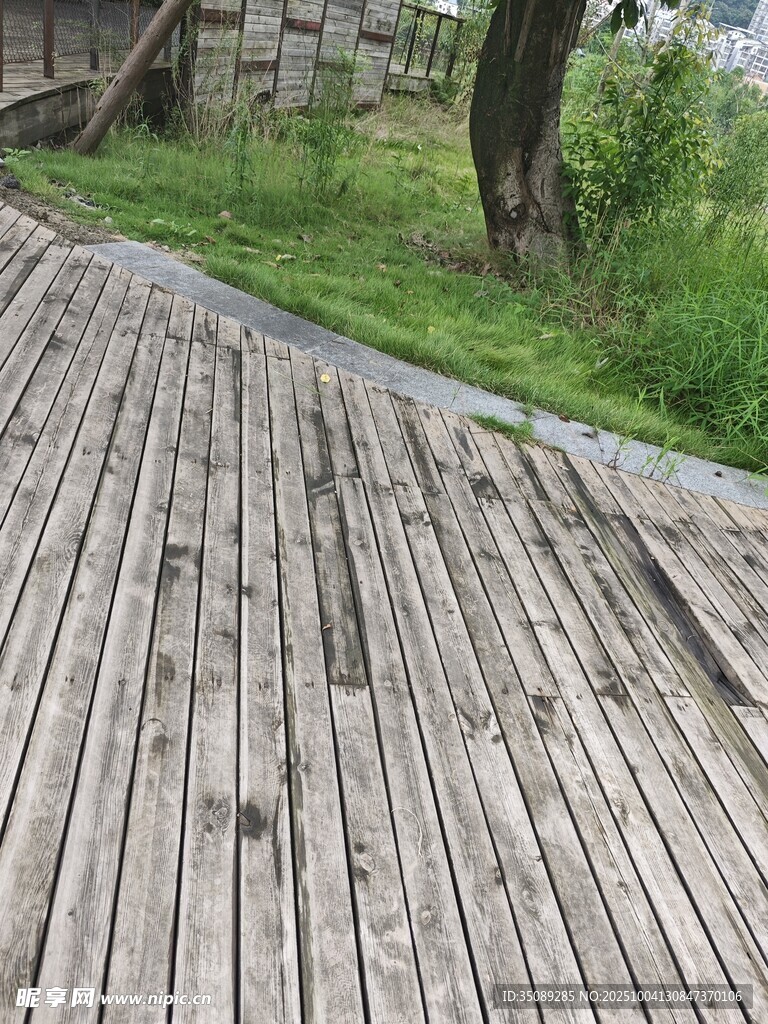 木质步道自然清新景致