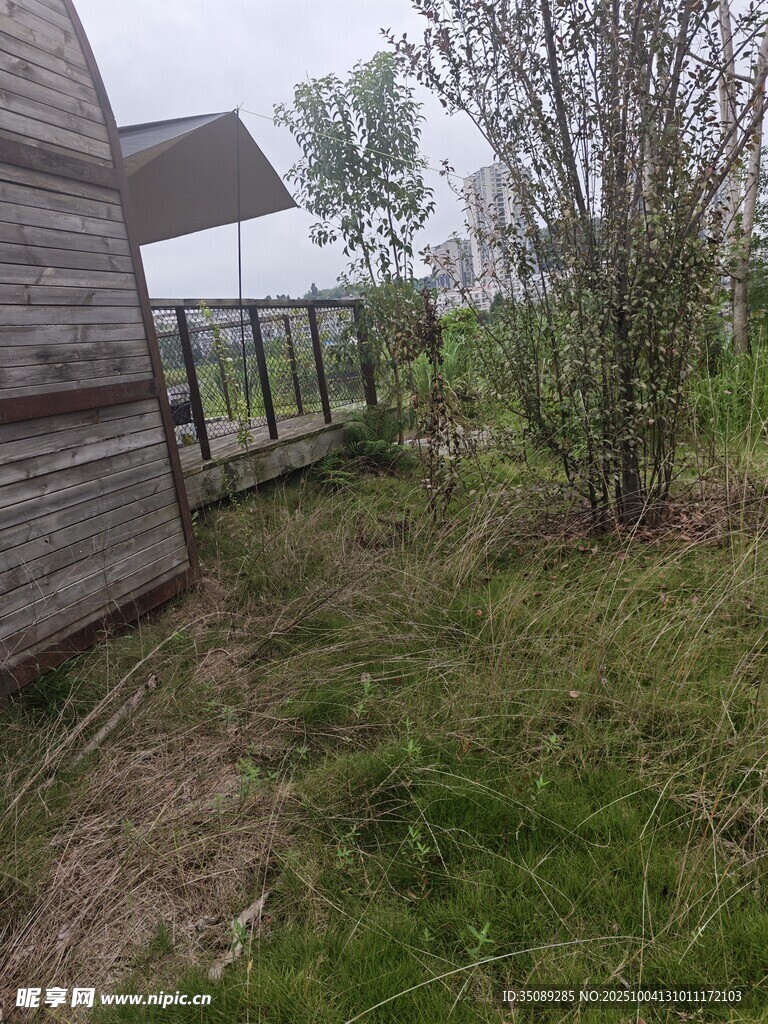 木屋旁的草地与树木景观