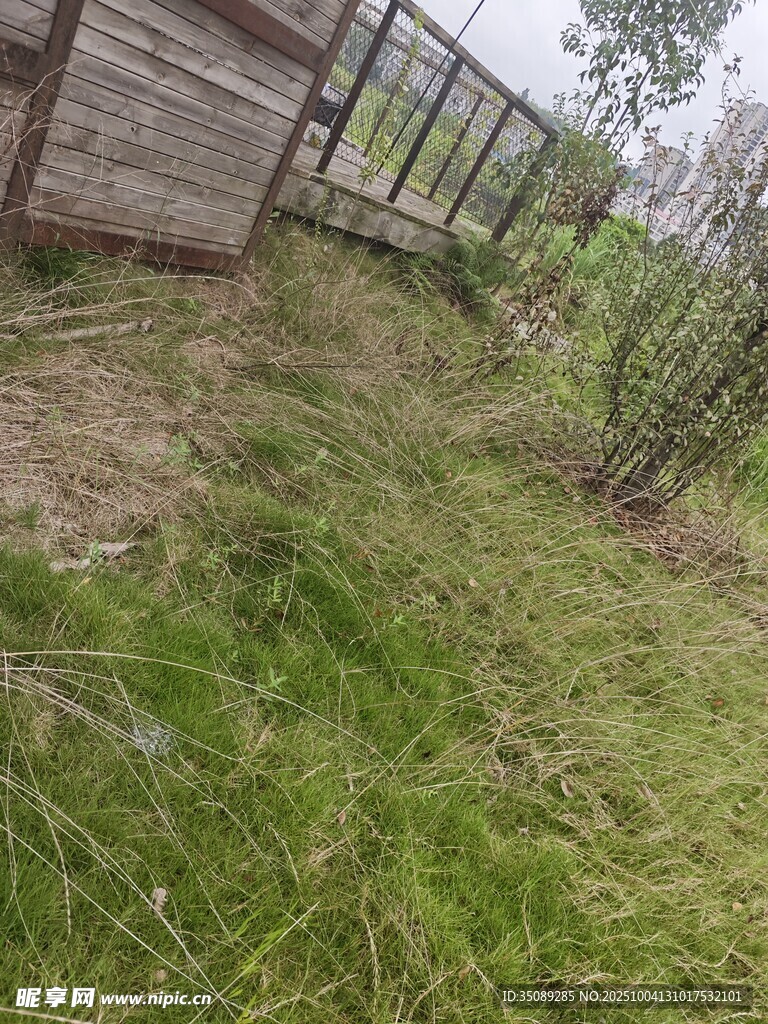 户外木屋旁的草地景象