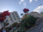 城市街道边的建筑与花卉