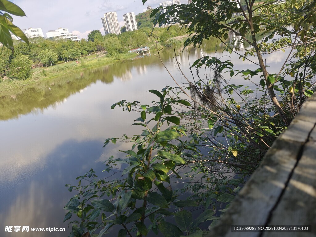 河畔绿植环绕的宁静风光