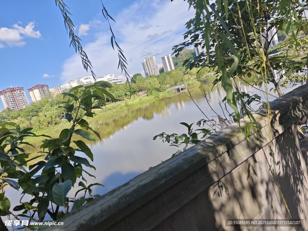 河畔绿树蓝天风景如画