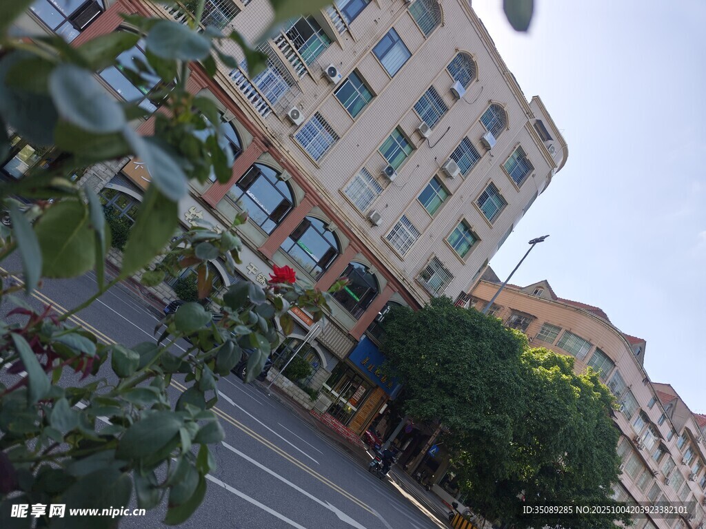 城市街道旁的多彩建筑
