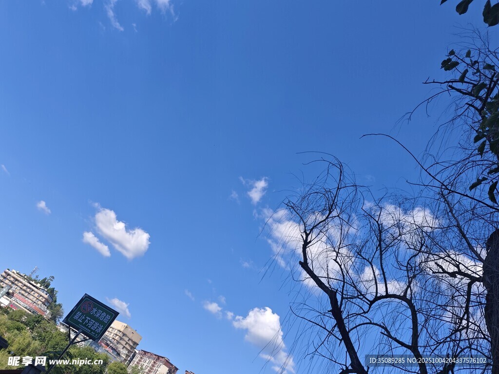 蓝天绿树间的建筑一角