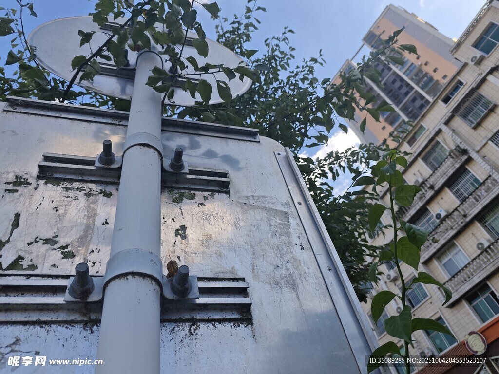 老旧墙面旁的管道与绿植