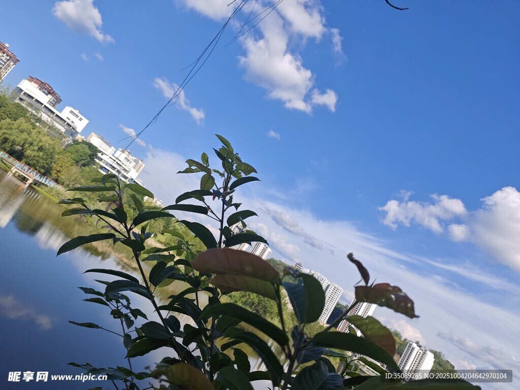 湖畔绿植与蓝天美景