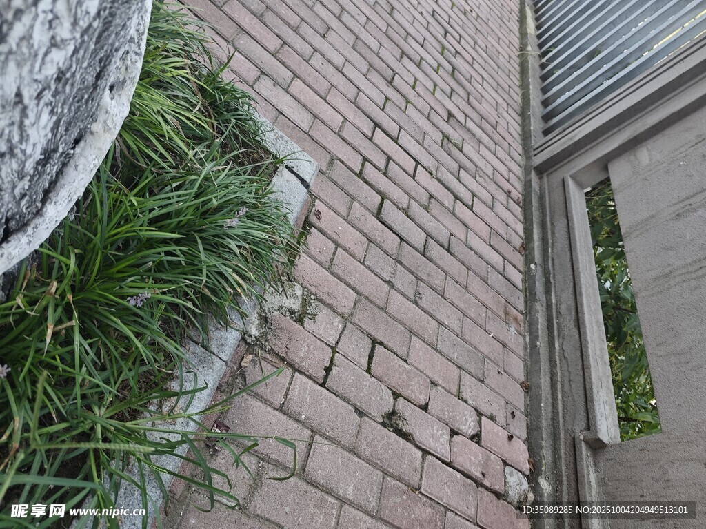 砖砌小径旁的绿植景观