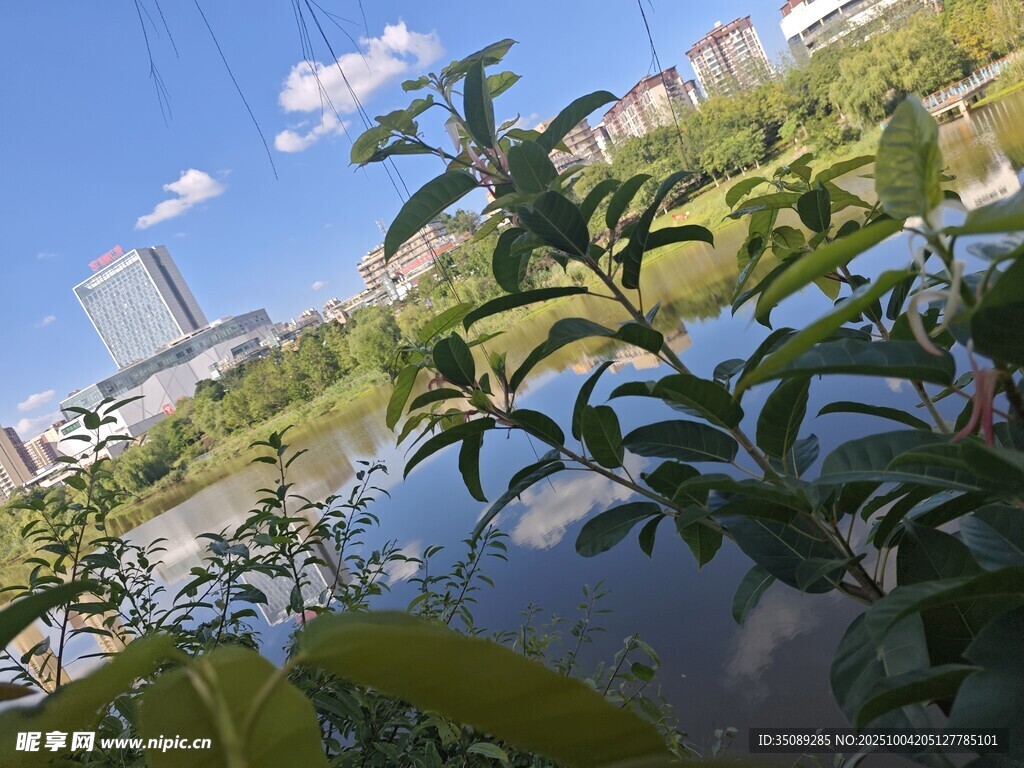 城市河畔绿植景观