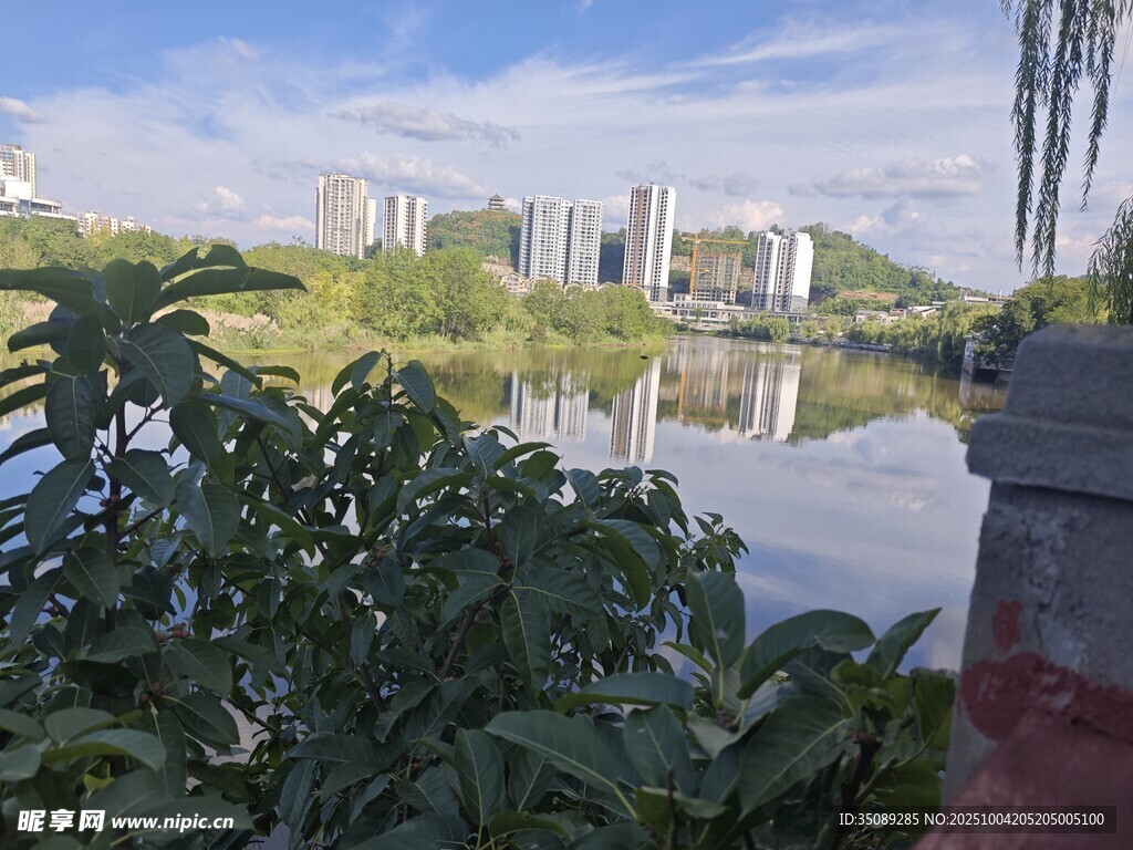 湖畔绿植映衬城市风光