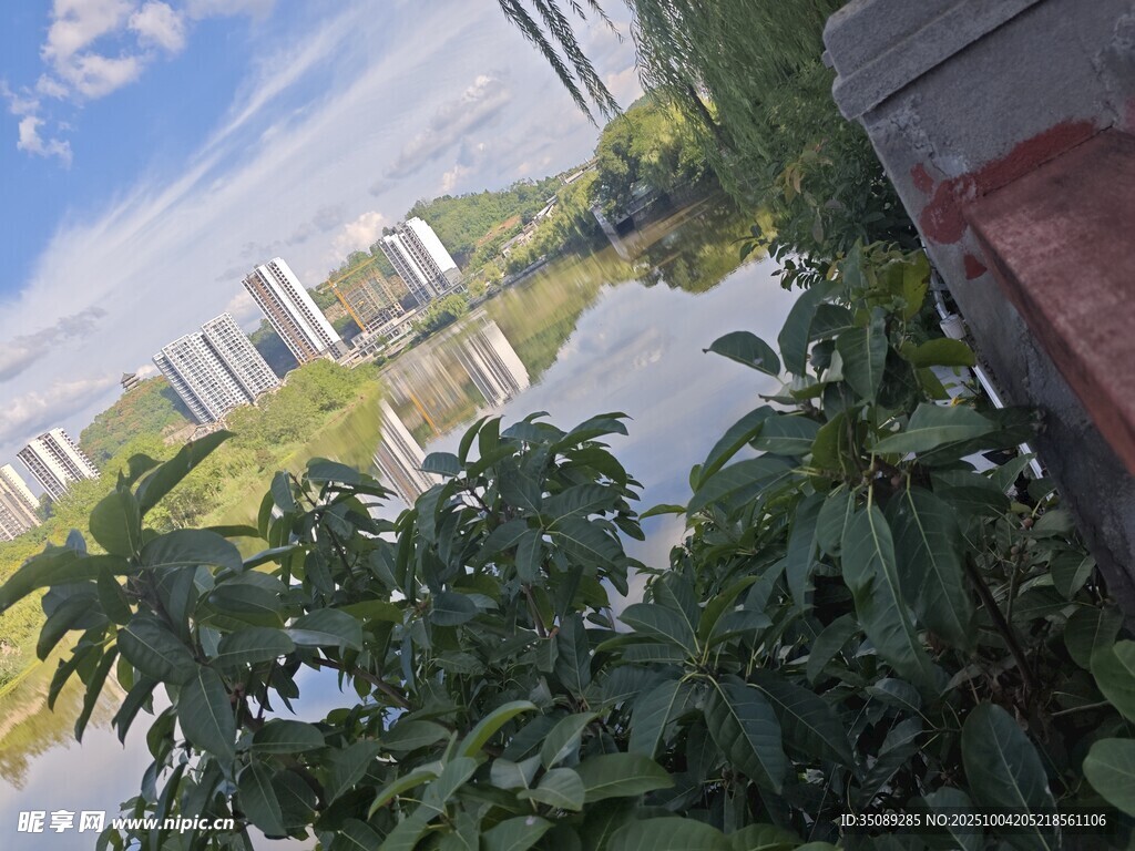 湖畔绿植与远处城市景观
