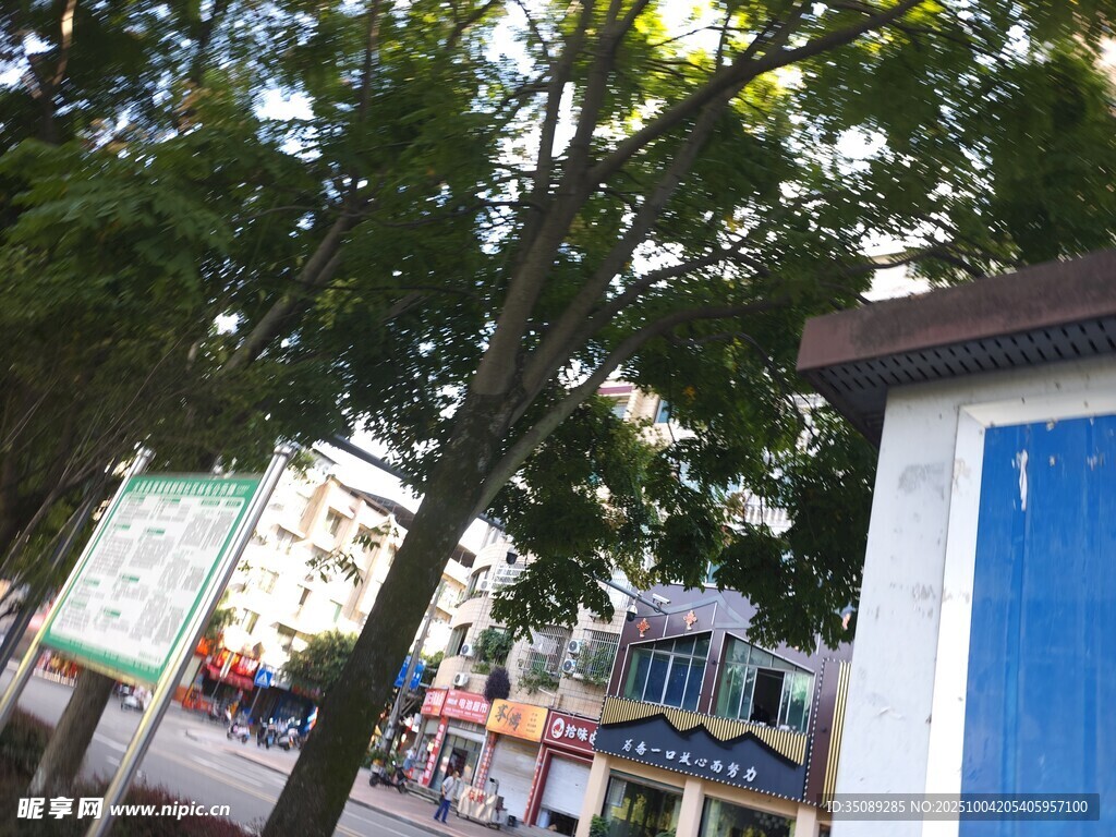 街边绿树与蓝门景象