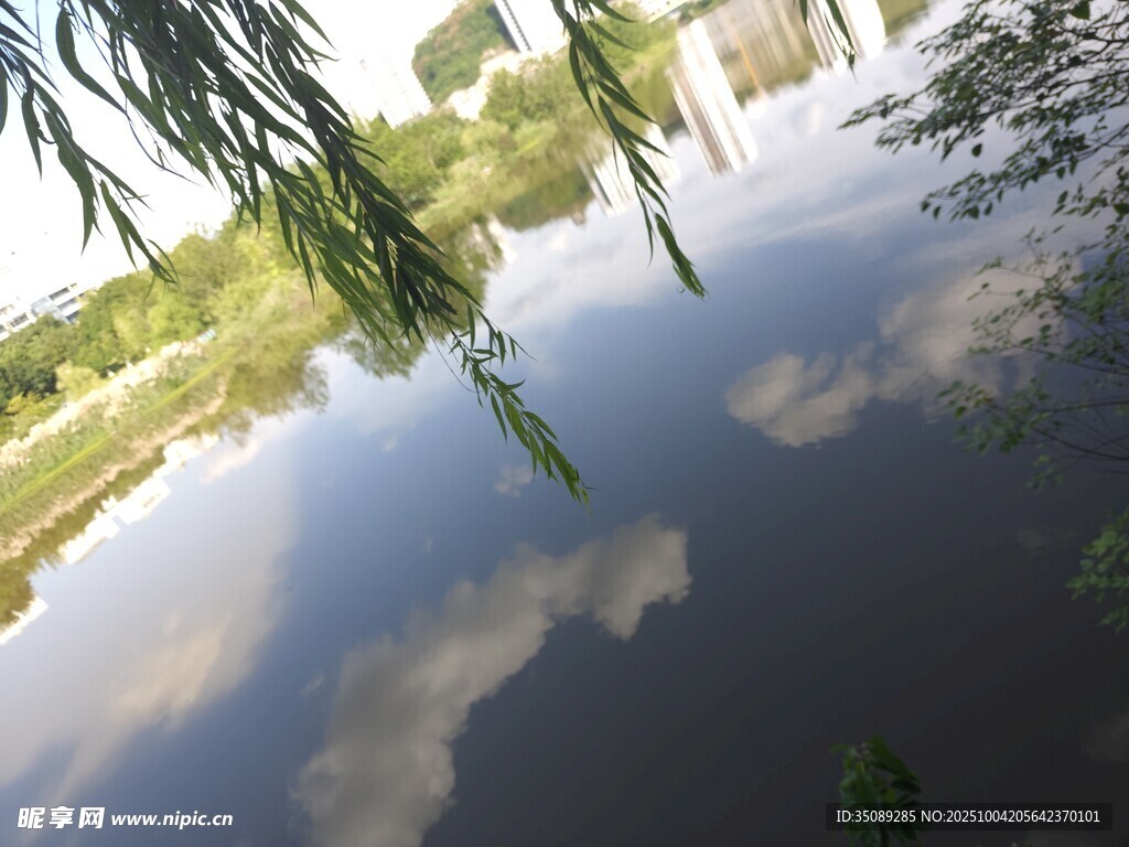 湖畔垂柳映水的静谧景致