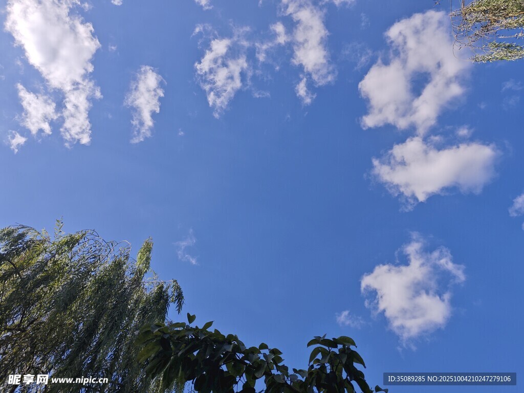 蓝天绿树间的白云美景