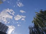 蓝天绿树间的白云美景