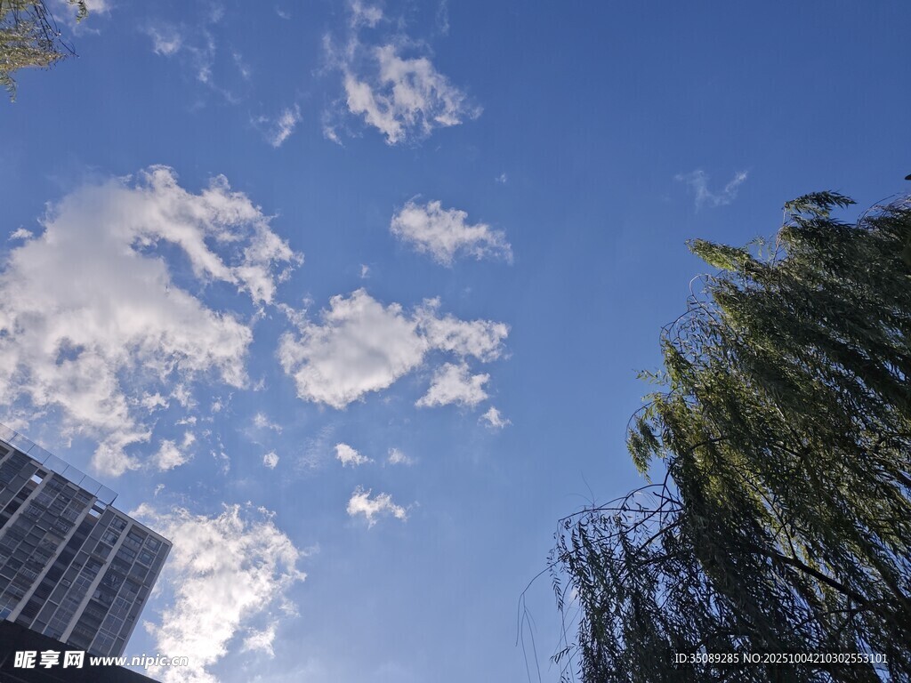 蓝天绿树间的白云美景
