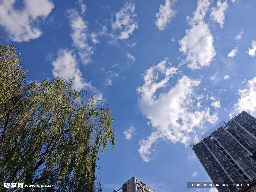 蓝天绿树间的城市景致