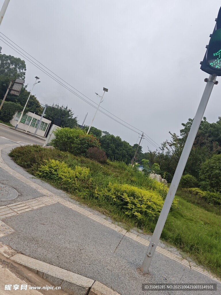 城市道路旁的绿植景观