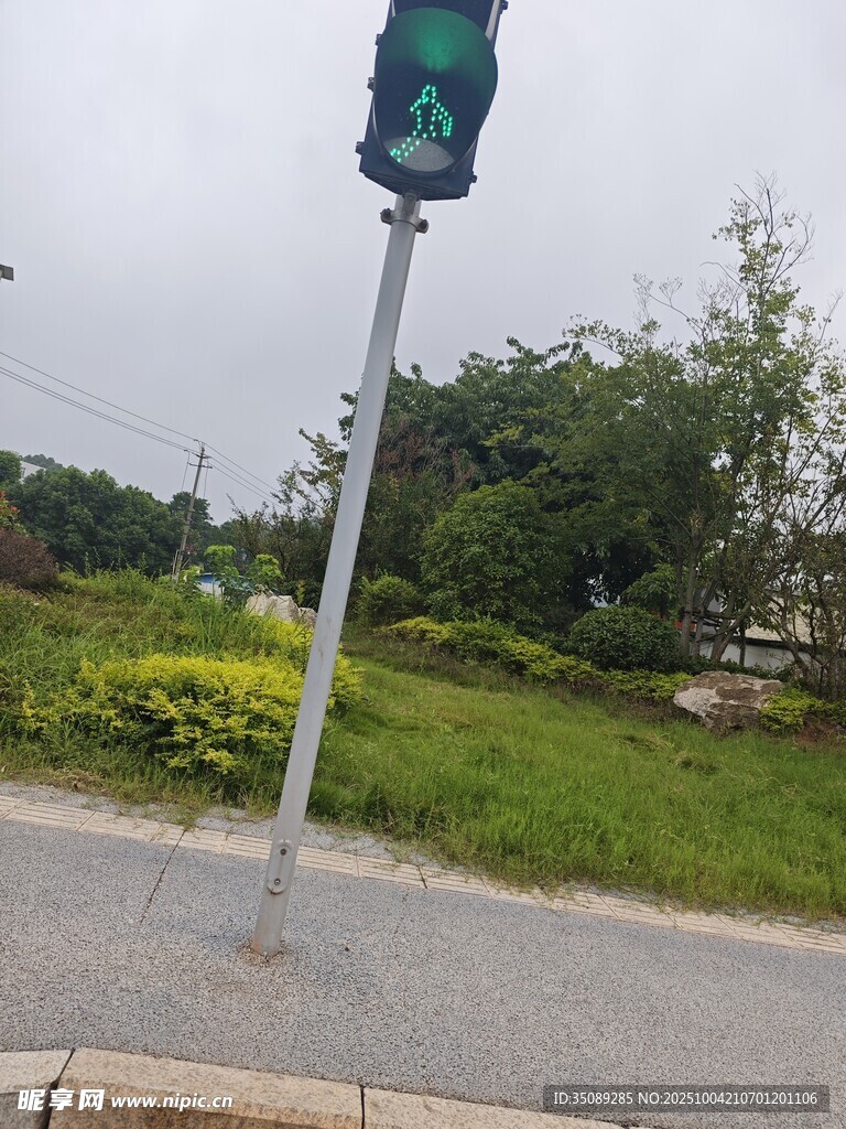 路边交通信号灯与绿植景观