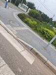 道路旁的绿植与路面设施