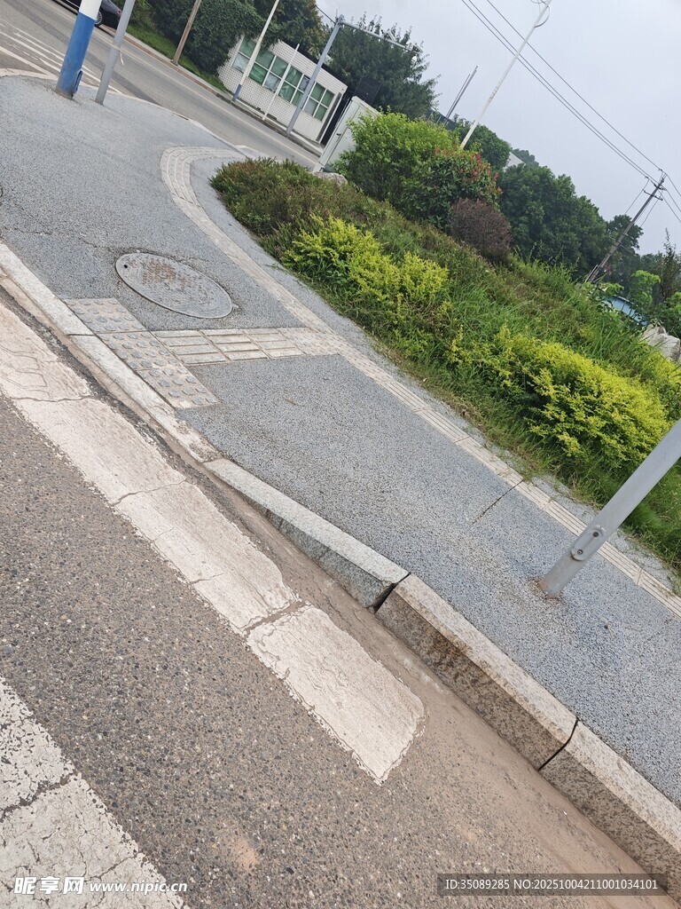 道路旁的绿植与路面设施