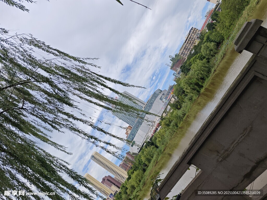 河畔垂柳城市绿意景致