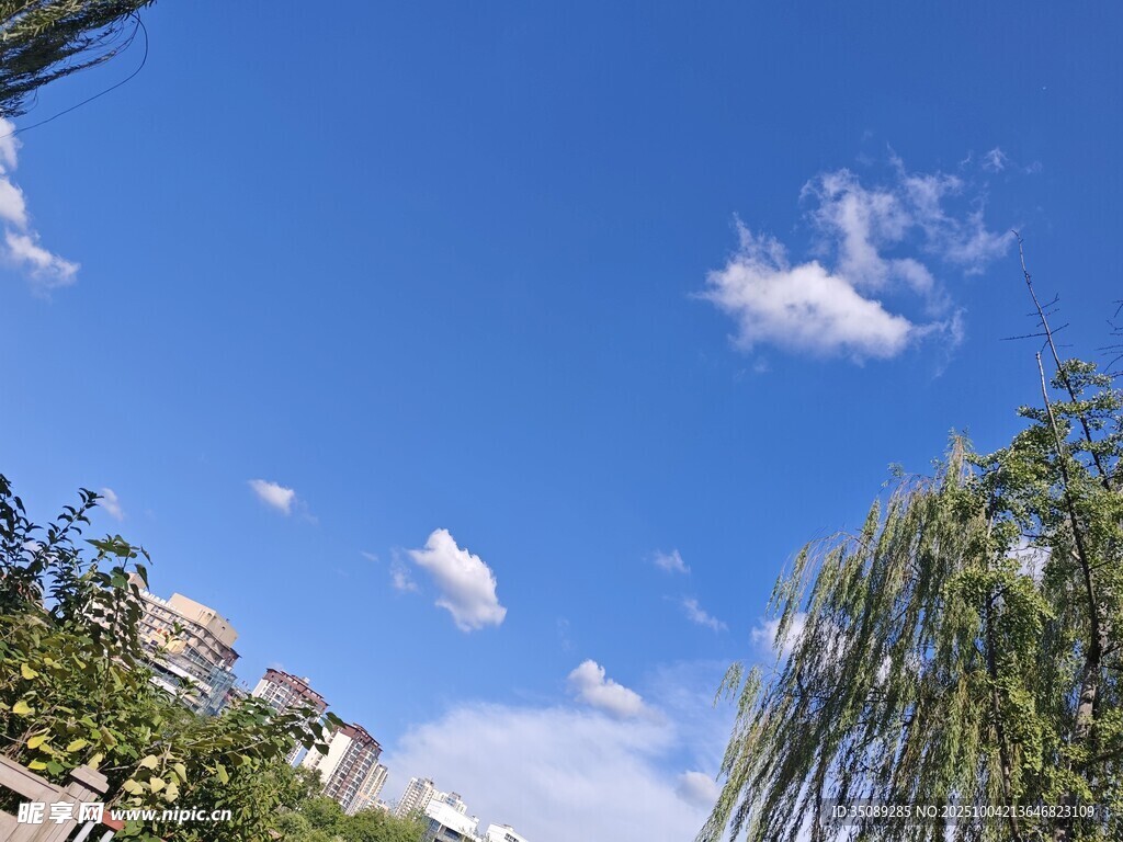 蓝天绿树间的悠悠白云