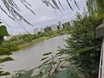 河畔绿植环绕的城市风景