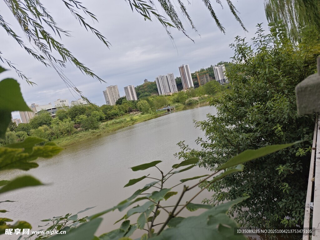 河畔绿植环绕的城市风景