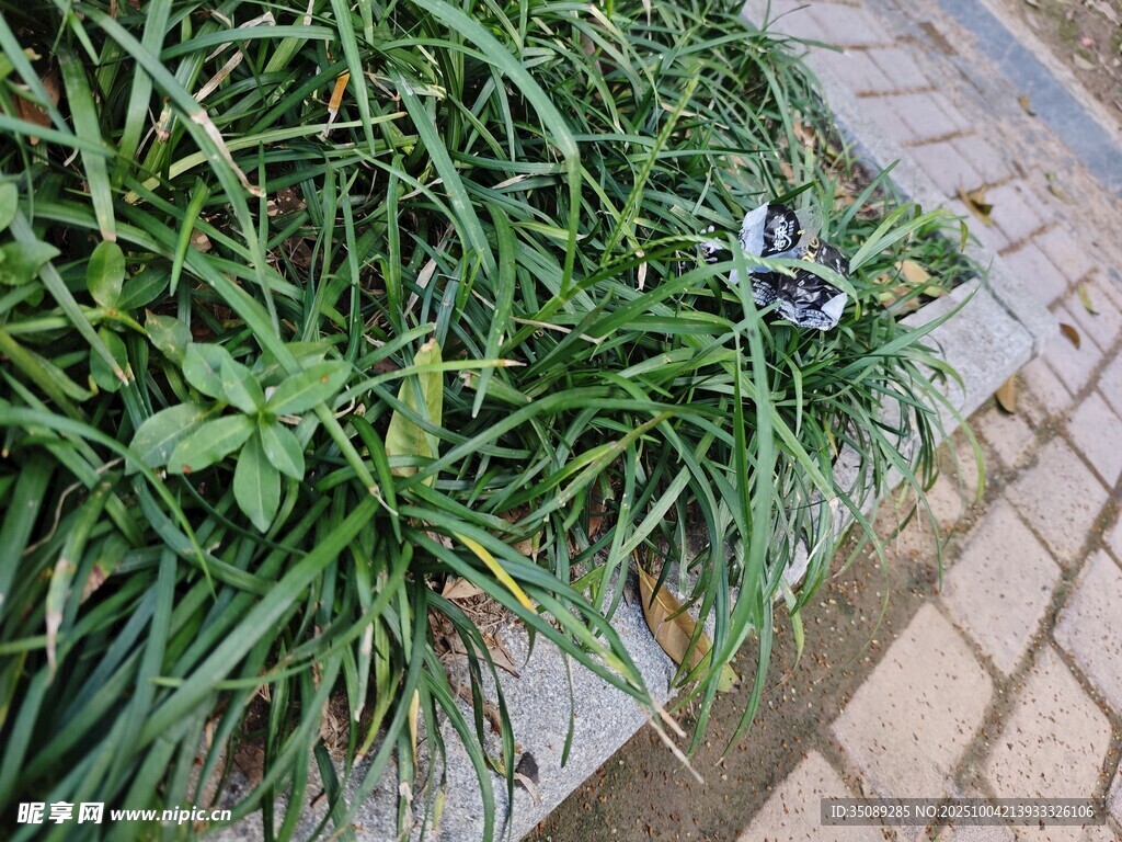 路边草丛中的银色物件