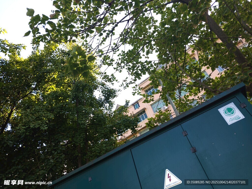 户外绿植旁的绿色箱体