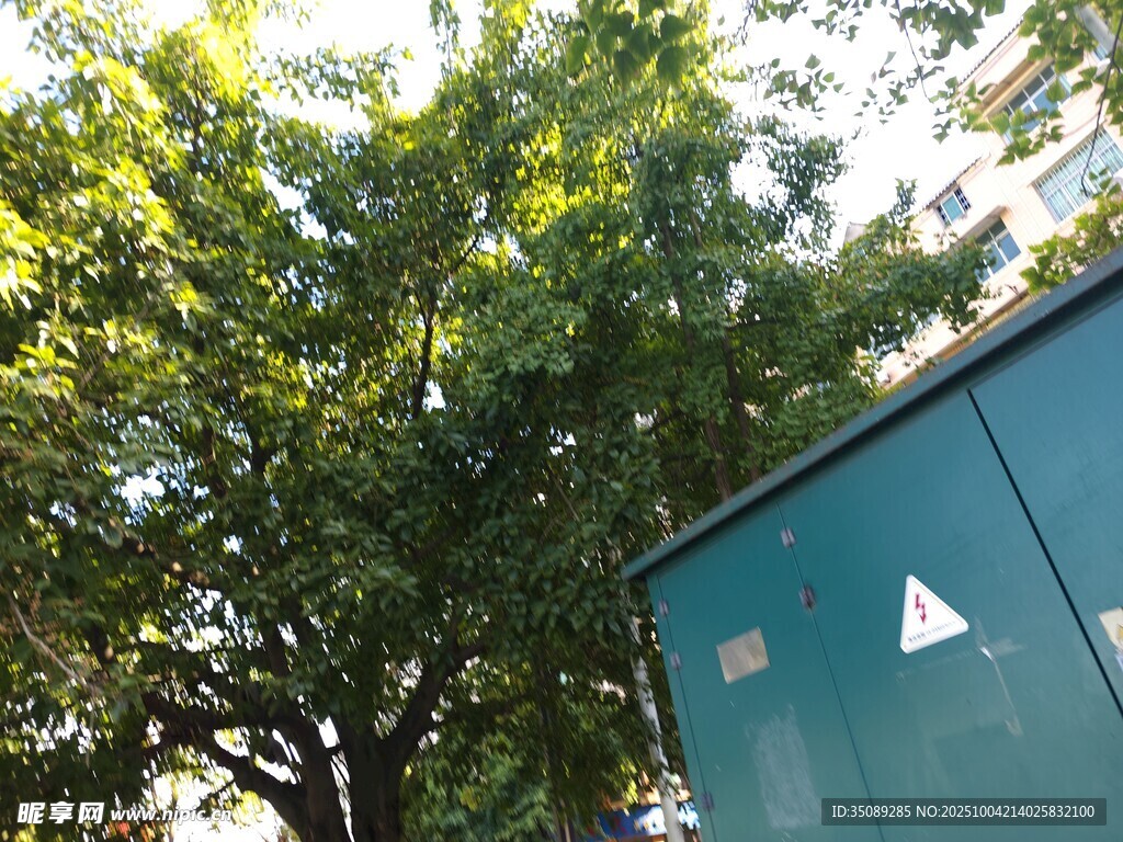 绿树旁的蓝绿色箱体