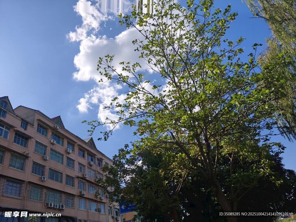 蓝天绿树旁的多层建筑
