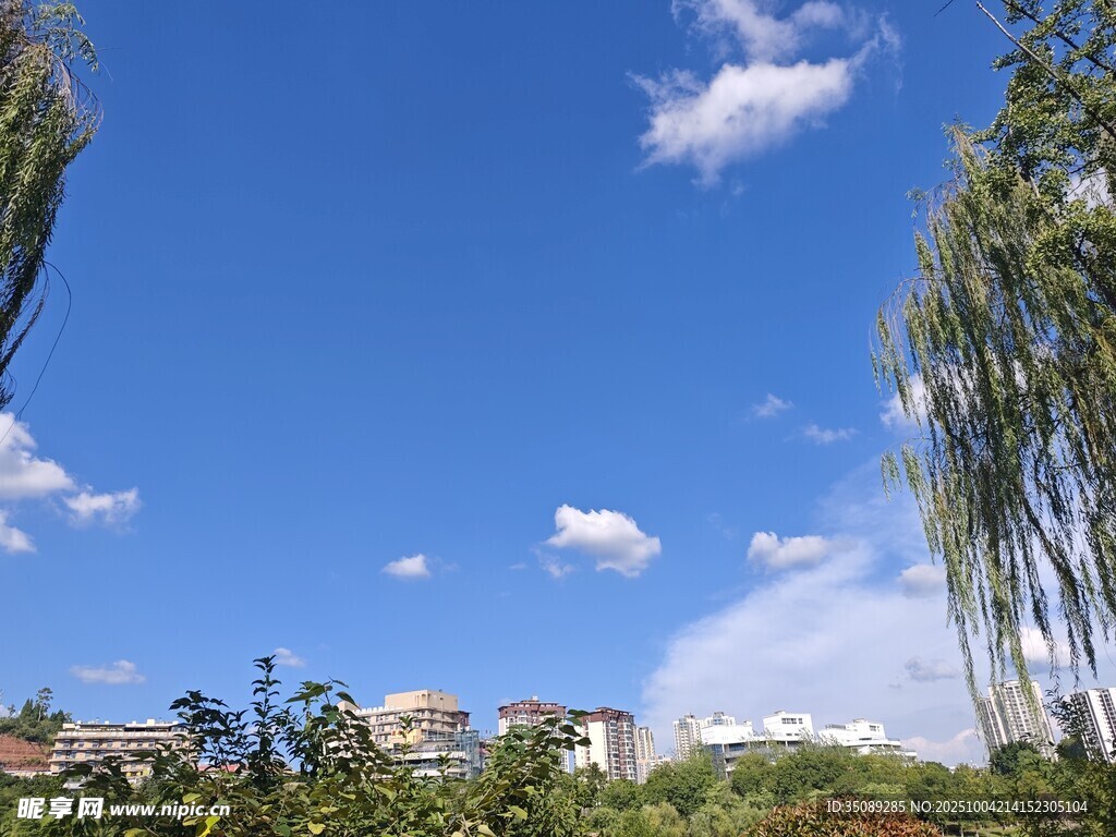 蓝天垂柳下的美好景致