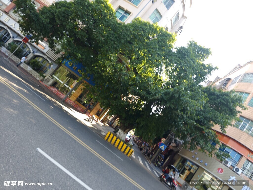 城市街道绿树与建筑景观