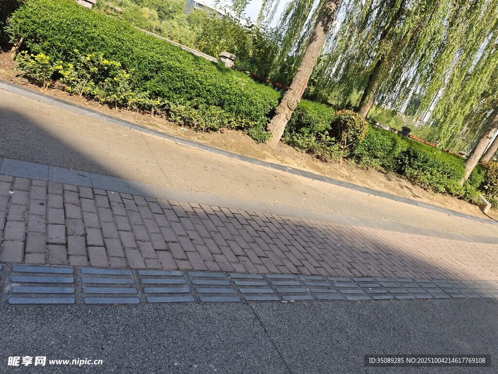 户外砖铺小路与绿植景观