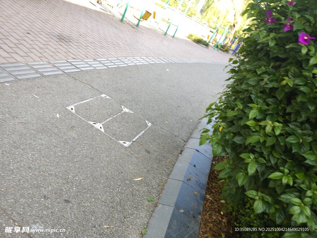 路边地面的白色标记