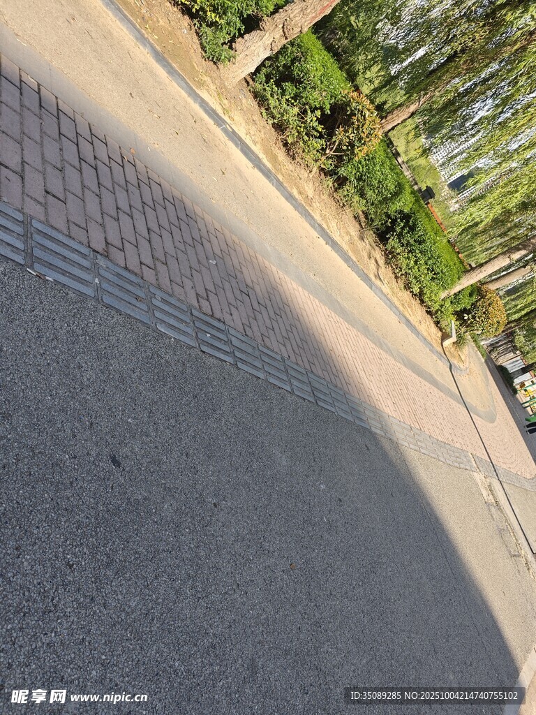 道路旁的绿植景观