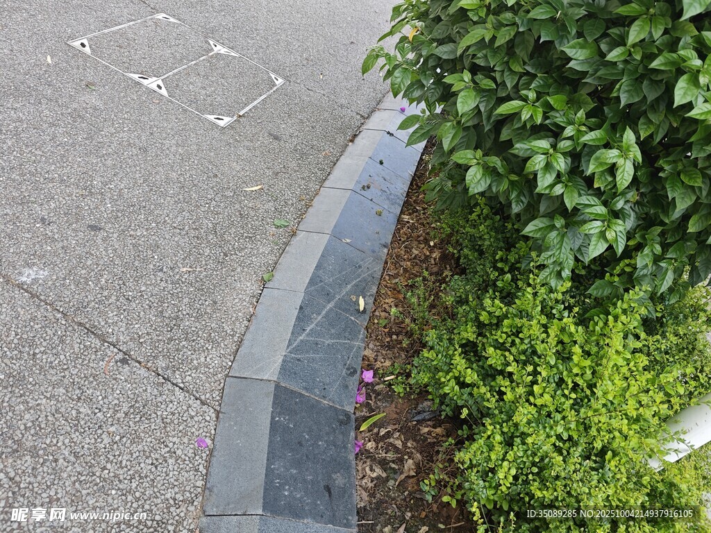 路边绿植与灰色步道一角