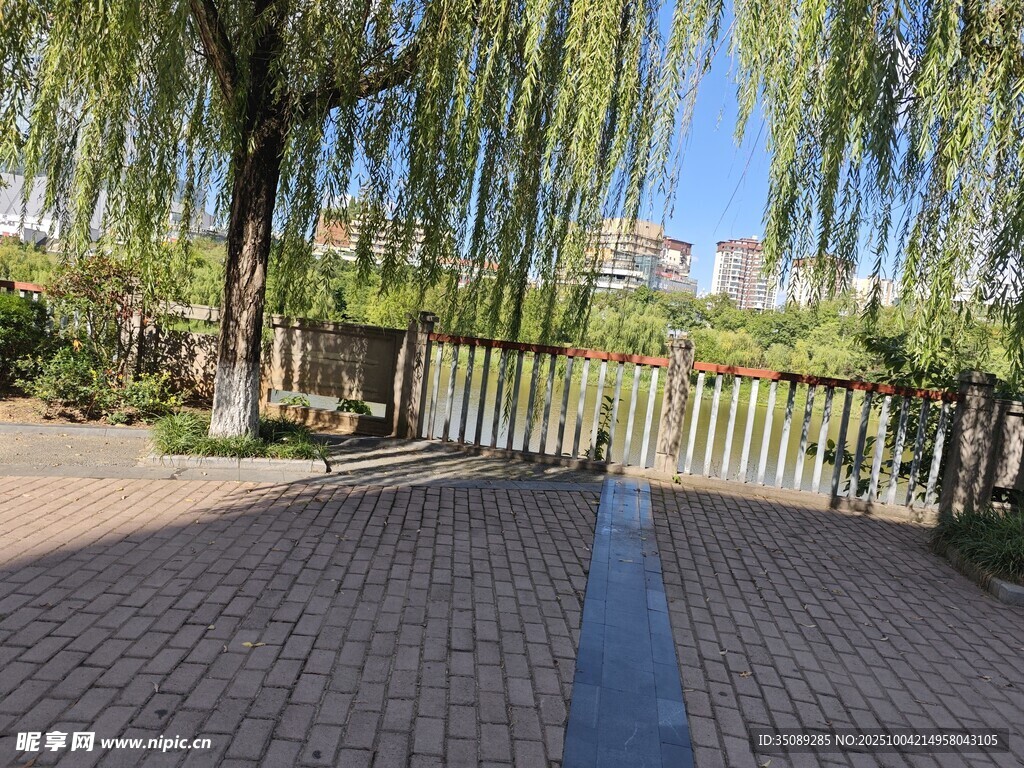 公园垂柳下的砖石步道