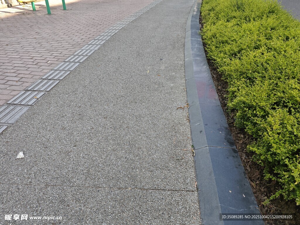 城市人行道旁的绿植景观