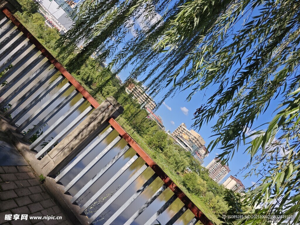 湖畔木质栈道与垂柳景致