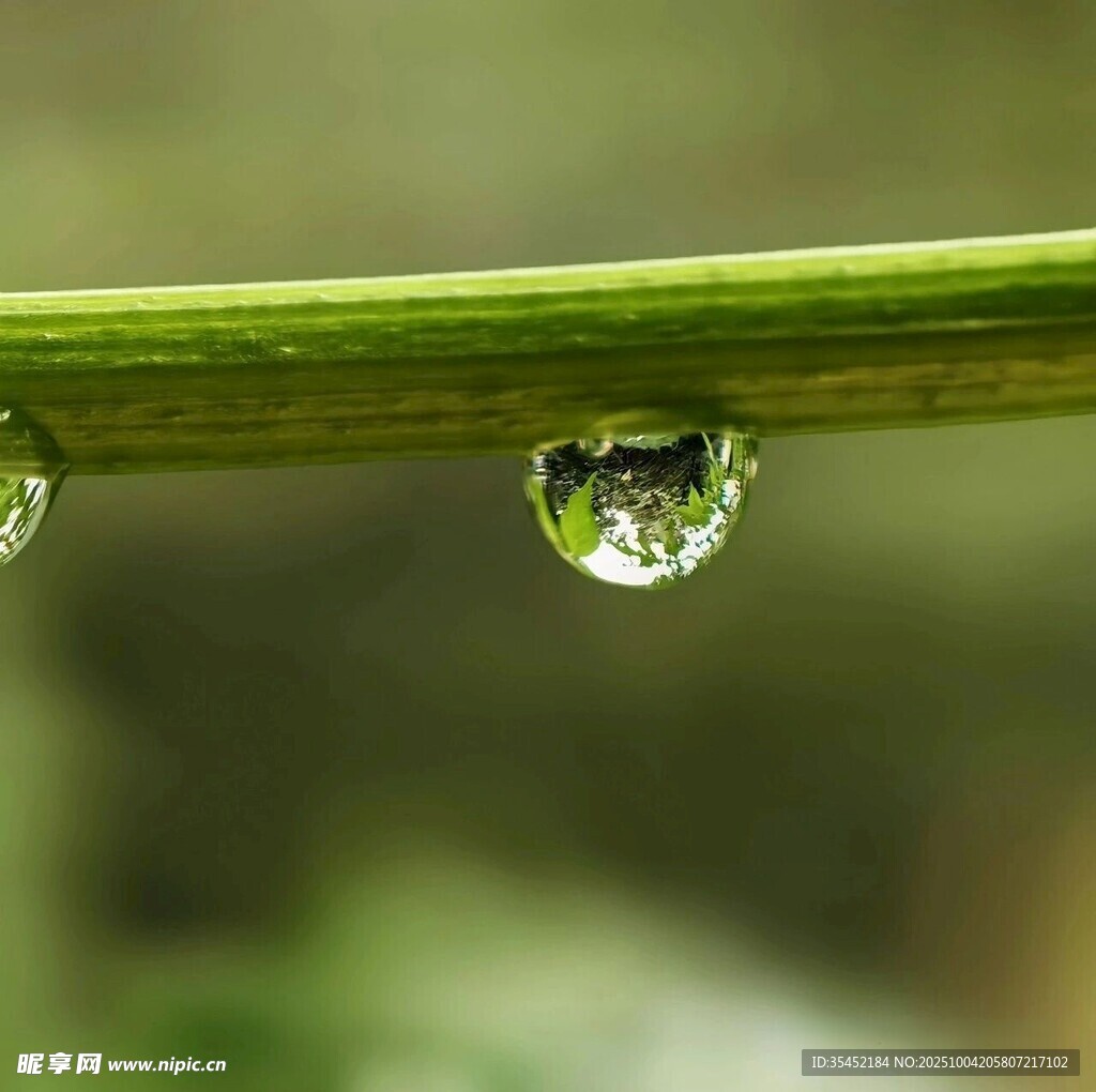 露水