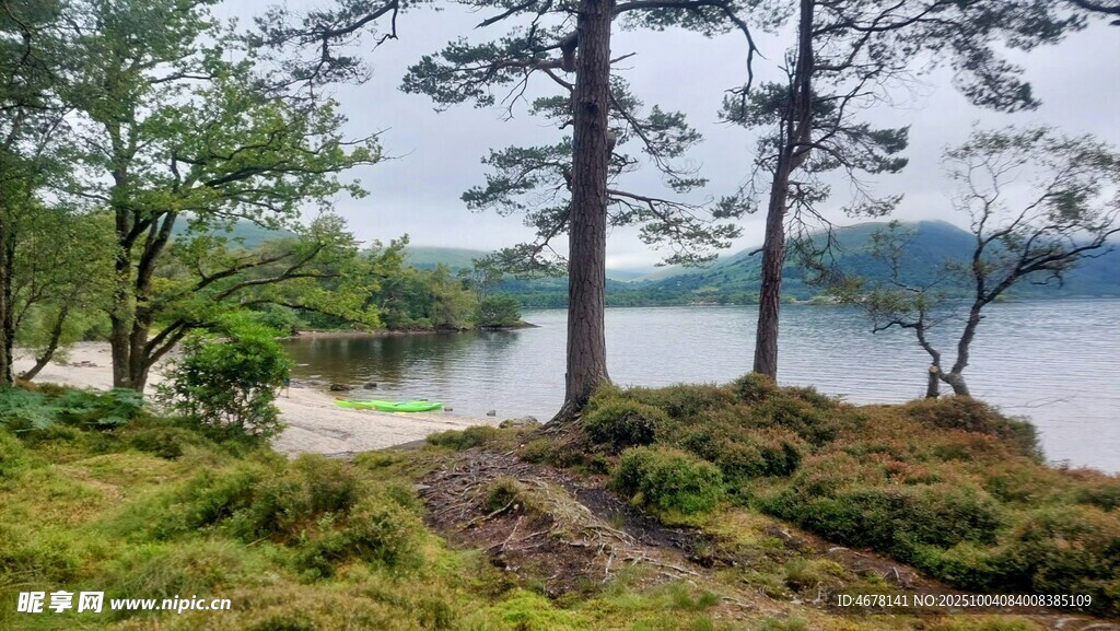 湖畔林间美景